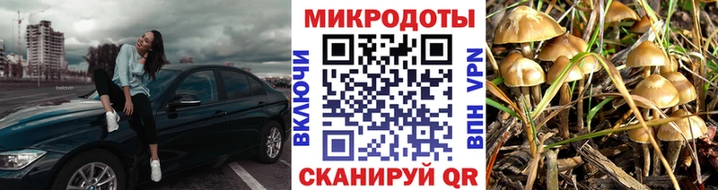 Галлюциногенные грибы прущие грибы  Невельск 