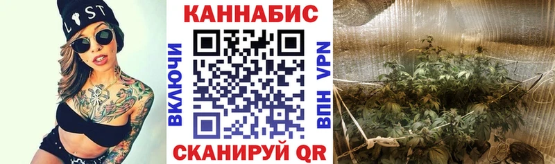 Марихуана Amnesia Невельск